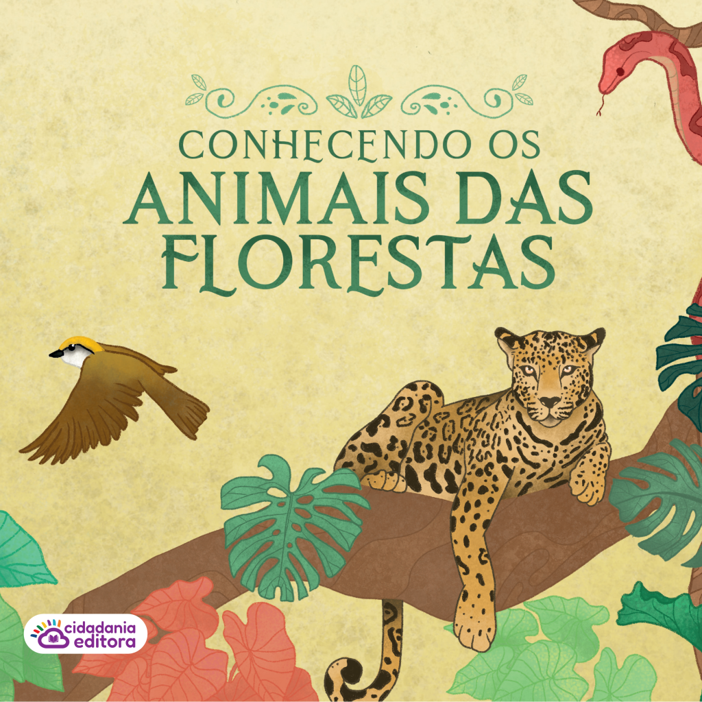 Conhecendo Os Animais Da Floresta Editora Cidadania