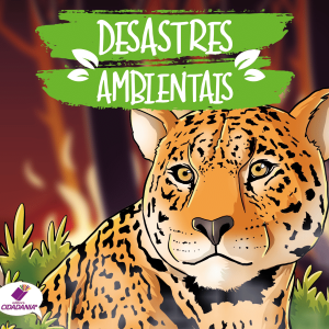 DESASTRES AMBIENTAIS: UM RISCO PARA HUMANIDADE