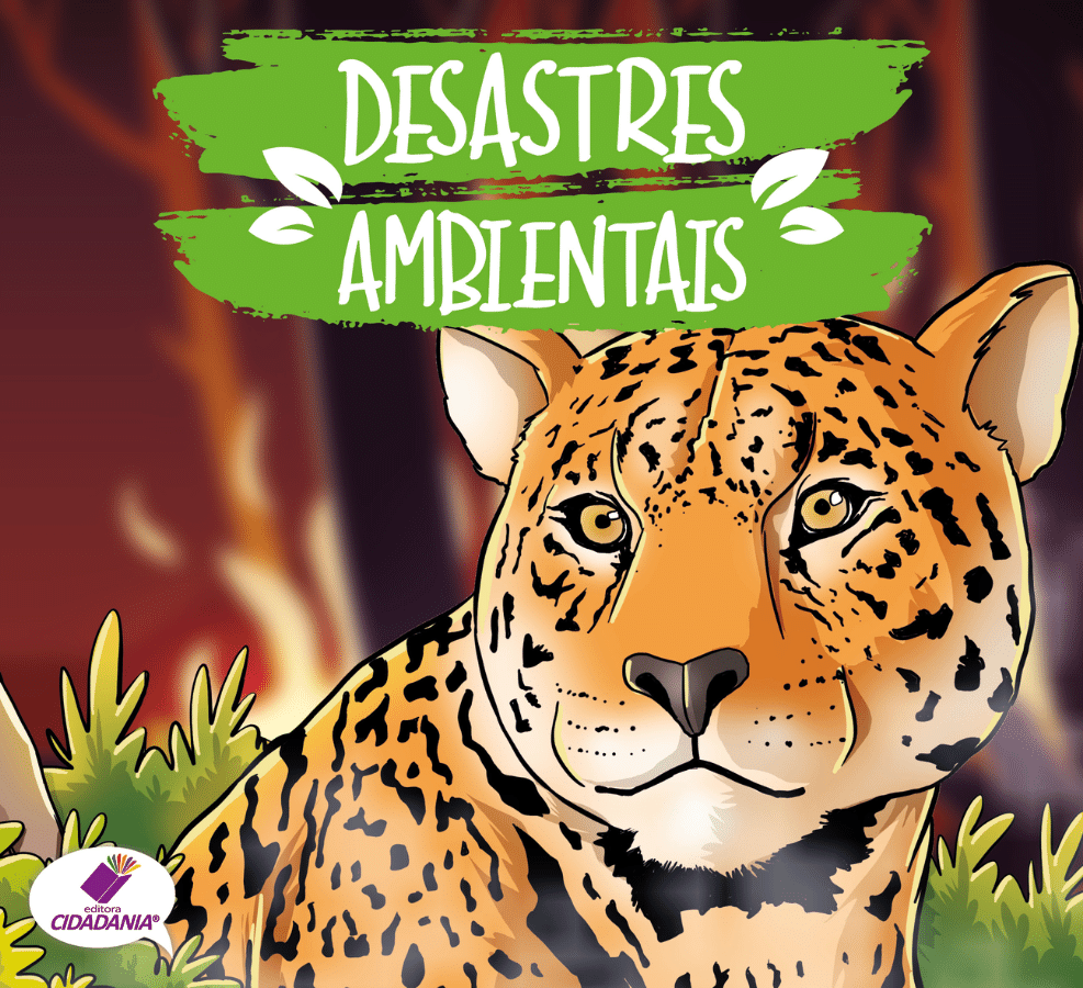 DESASTRES AMBIENTAIS: UM RISCO PARA HUMANIDADE