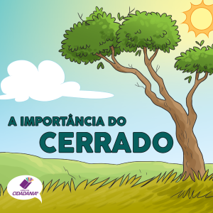 A importância do cerrado