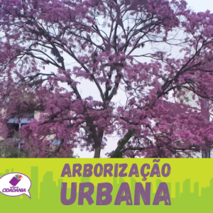 A importância da Arborização urbana