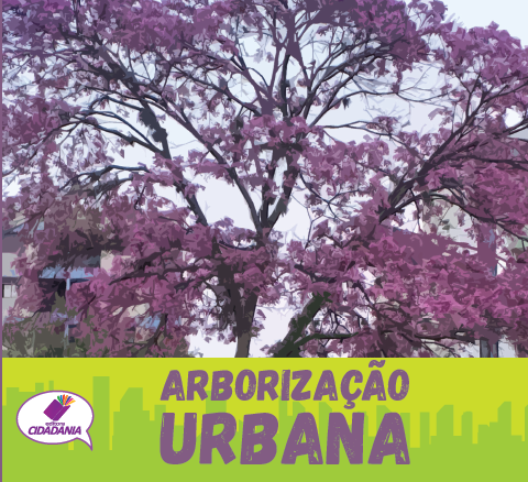 A importância da Arborização urbana