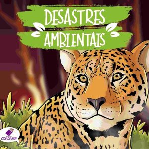 Desastres ambientais: