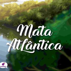 Mata Atlântica: desafios e reflexões