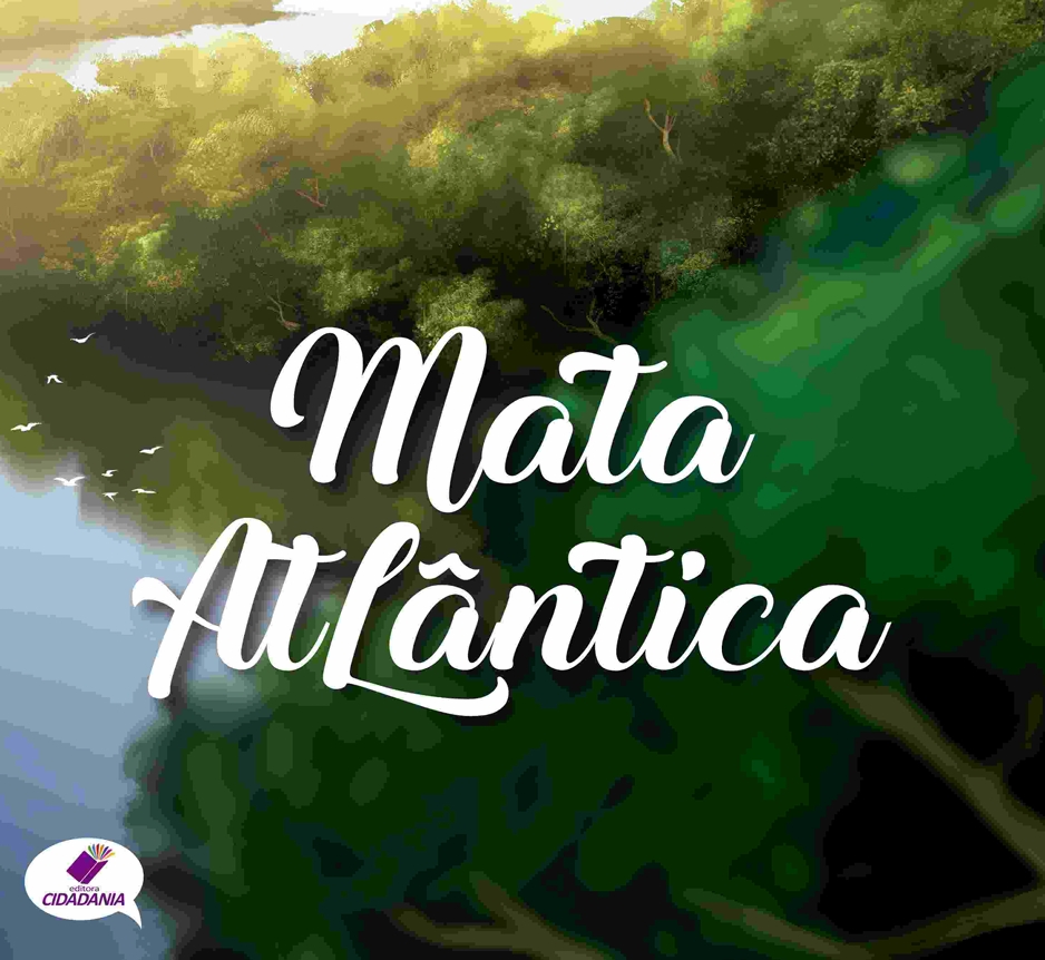 Mata Atlântica: desafios e reflexões