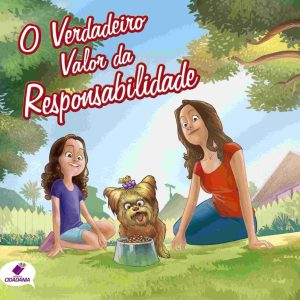 O verdadeiro valor da responsabilidade