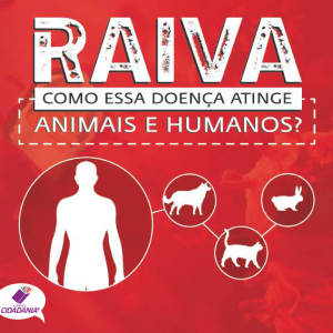 Raiva: Como essa doença atinge animais e humanos?